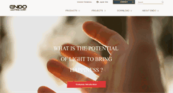 Desktop Screenshot of endo-lighting.com
